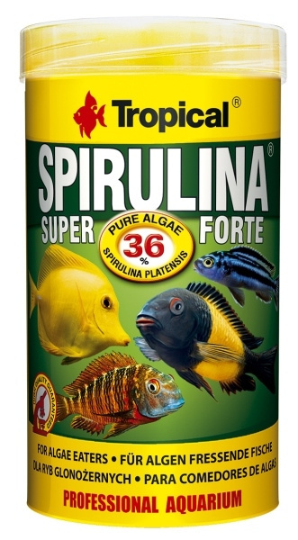 TROPICAL SPIRULINA FORTE 36% PUSZ.250ML TROPICAL SPIRULINA FORTE 36% PUSZ.250ML