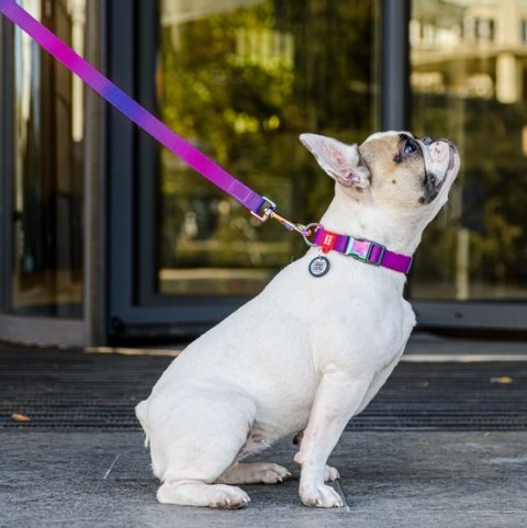 Collar WauDog Recycled Obroża nylonowa z QR-paszportem, gradient XL 25mm x 37-58cm fioletowy