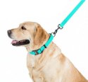 Collar WauDog Waterproof Smycz wodoodporna akumulująca światło M 20mm/183cm