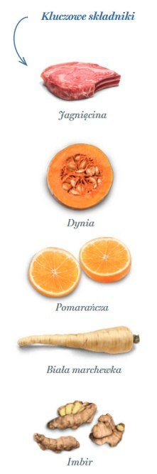 Amanova Dog Adult Mini Sensitive Delicious Lamb - jagnięcina 2kg