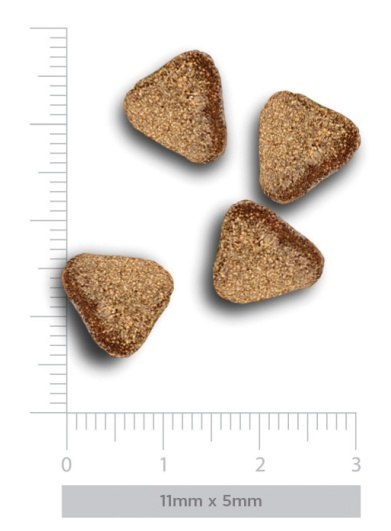 Amanova Dog Adult Mini Sensitive Salmon Deluxe - łosoś 2kg