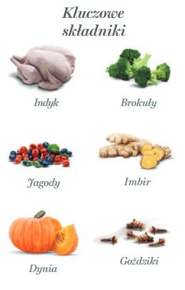 Amanova Dog Adult Turkey Delight - indyk saszetka 100g [P07]