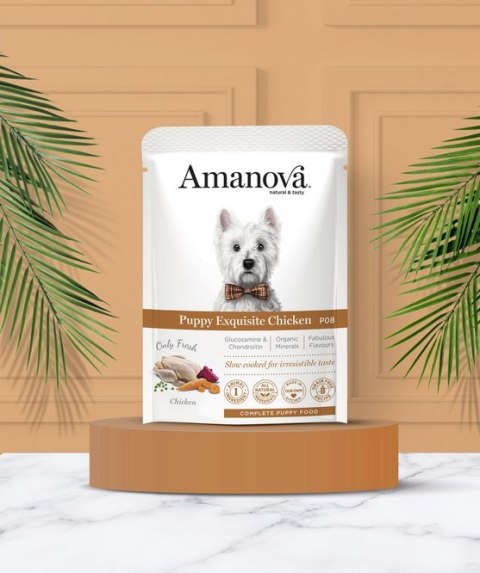 Amanova Dog Puppy Exquisite Chicken - kurczak saszetka 100g [P08]