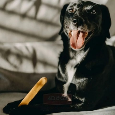 4DOGS Gryzak z sera himalajskiego Churpi Original S