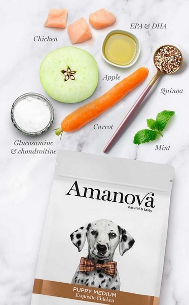 Amanova Dog Puppy Medium Exquisite Chicken - kurczak 2kg
