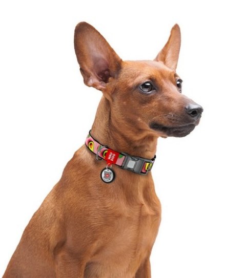 Collar WauDog Nylon Obroża nylonowa z QR-paszportem, plastikowy fastex, wzór AWOKADO NA RÓŻU, S 15mm/25-35cm