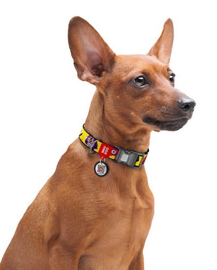 Collar WauDog Nylon Obroża nylonowa z QR-paszportem, plastikowy fastex, wzór FUTRZANE POTWORY, L 25mm/33-49cm