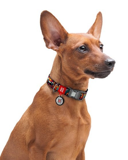 Collar WauDog Nylon Obroża nylonowa z QR-paszportem, plastikowy fastex, wzór ZĘBATE POTWORY, M 20mm/28-40cm