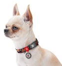 Collar WauDog Nylon Obroża nylonowa z QR-paszportem, plastikowy fastex, wzór ZĘBATE POTWORY, S 15mm/25-35cm
