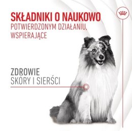 Royal Canin Skin & Coat Chews Adult Supplements 240g