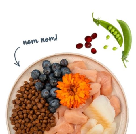 Sanabelle Adult Forelle - z pstrągiem 400g