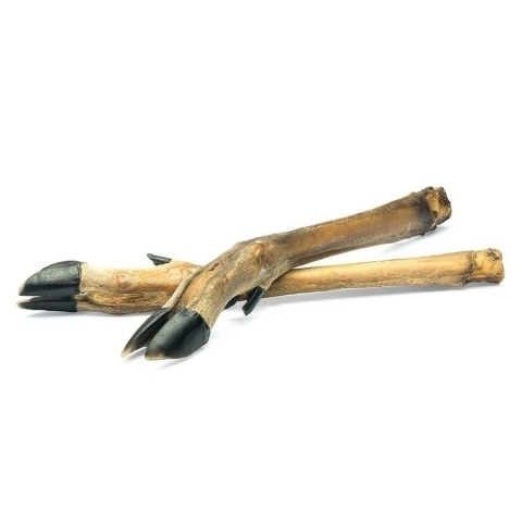 ARAMI C RACICA SARNY 5szt.