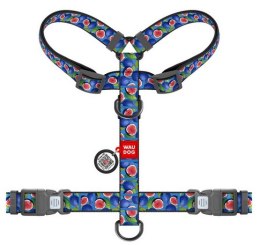 Collar WauDog Nylon Szelki nylonowe anatomiczne w kształcie litery H, z QR-paszportem, plastikowy fastex, wzór FIGA, rozmiar M 2