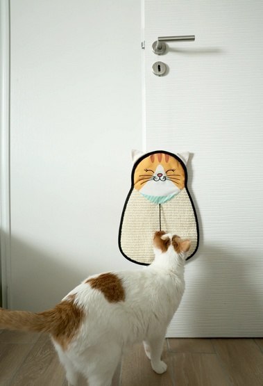 Zolux Chatouille Drapka do powieszenia kot z sizalu z zabawką 54cm