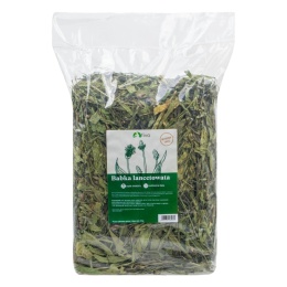 TIVO ZIOŁA BABKA LANCETOWATA XXL 600g