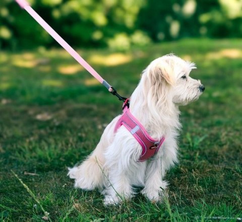 Zolux Szelki oddychające z siatki M granatowe
