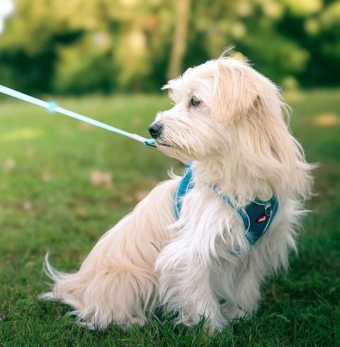 Zolux Szelki oddychające z siatki M turkusowe