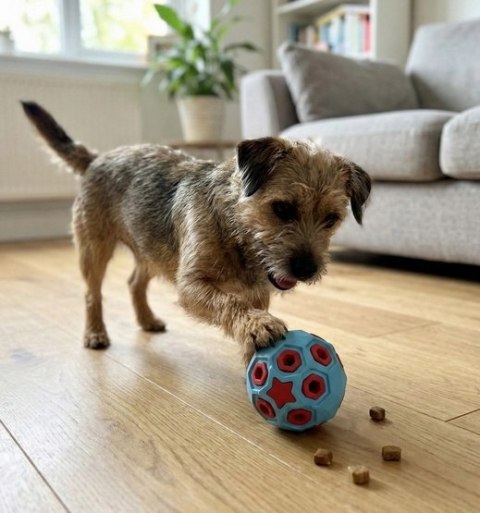 Zolux Zabawka na przysmaki do aportowania piłka 8cm