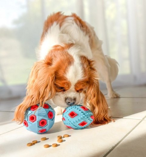Zolux Zabawka na przysmaki do aportowania piłka 8cm