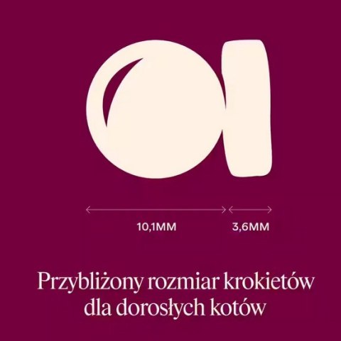 Carnilove Cat Active Lamb & Wild Boar Sterilised - jagnięcina i dzik 2kg