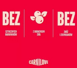Carnilove Dog Soft Snack Salmon Small Bite 200g
