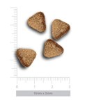 Amanova Dog Adult Mini Digestive Divine Rabbit - królik 800g [termin ważności: 29.11.2026]