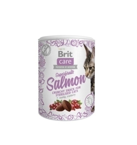 BRIT CARE KOT SNACK SALMON 100g