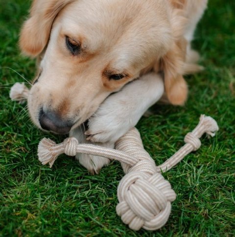Dingo Psia-Kawka Gryzak z drewna kawowego sznurowy ludzik 35cm