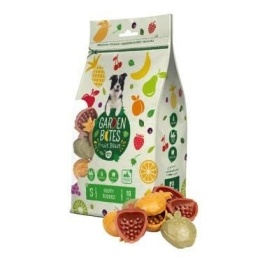 GARDEN BITES FRUITY BUDDIES 