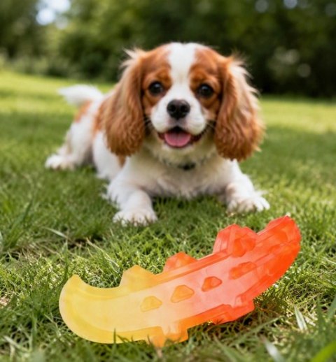 Zolux Zabawka gryzak TPR Gummies Krokodyl 14cm
